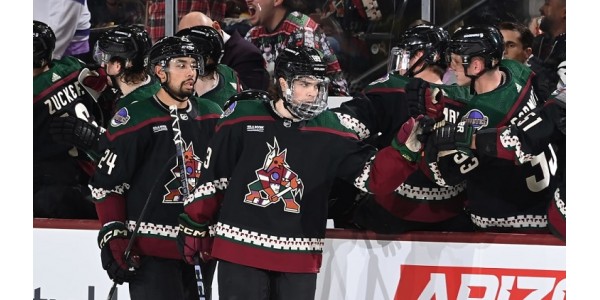 Dobrá mentalita hráče Arizony Coyotes Matiase Maccelliho Dobrá mentalita hráče Arizony Coyotes Matiase Maccelliho